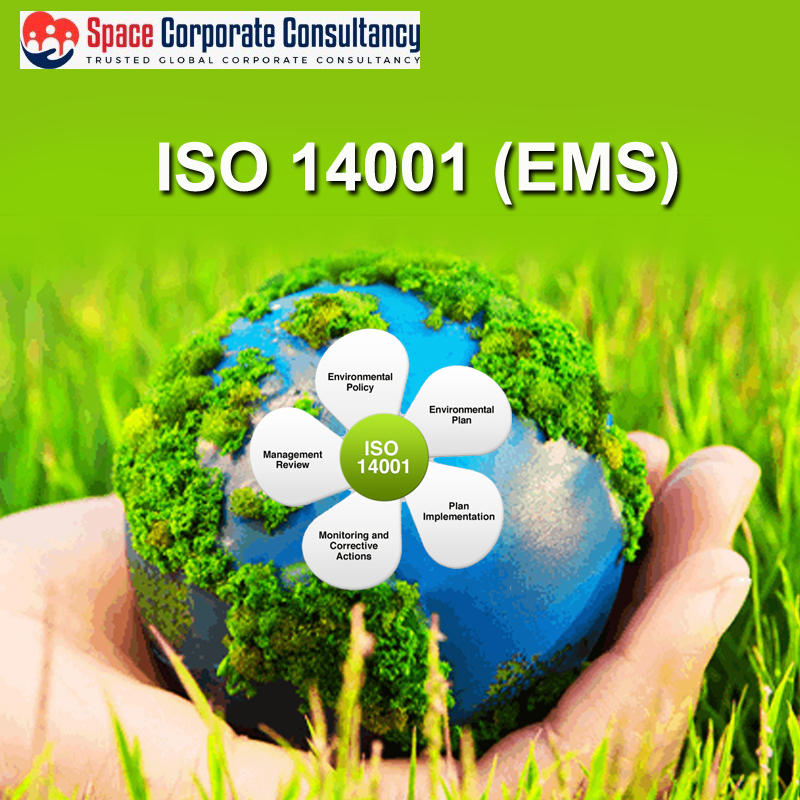 ISO 14001: Addresses Environmental Management Systems (EMS)